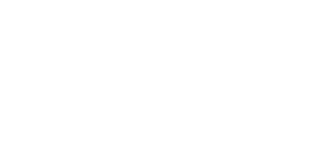 חלקי חילוף רנד רובר